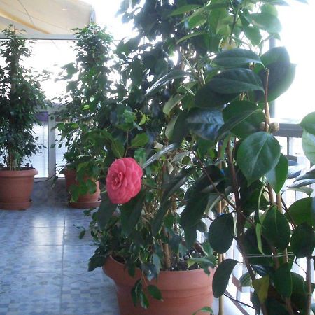 Athens Penthouse Cosy Apartment Atenas Exterior foto