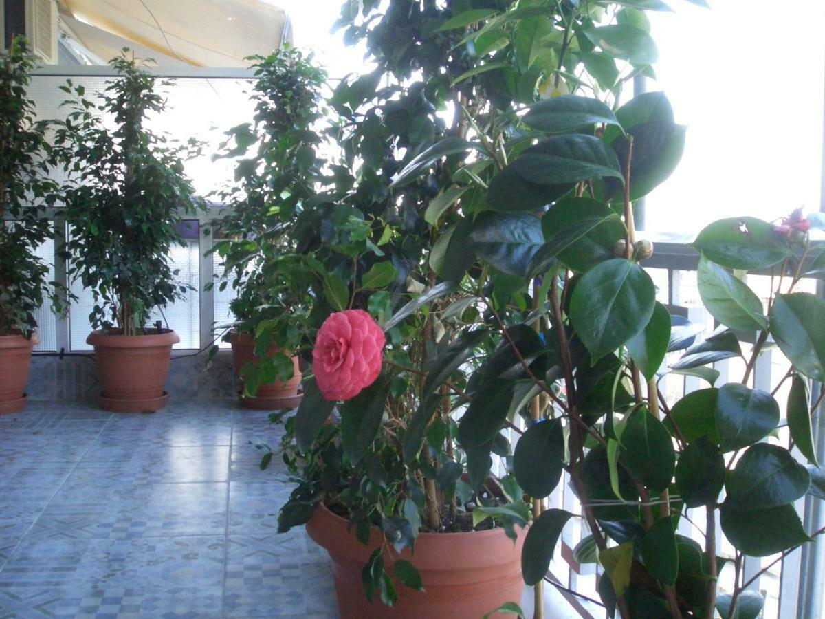 Athens Penthouse Cosy Apartment Atenas Exterior foto
